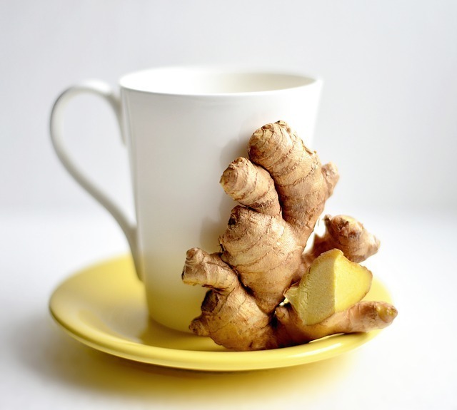 ginger-3966502_640.jpg